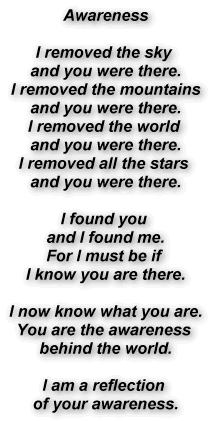 Awareness

I removed the sky 
and you were there.
I removed the mountains
and you were there.
I removed the world 
and you were there.
I removed all the stars 
and you were there.

I found you 
and I found me.
For I must be if 
I know you are there.

I now know what you are.
You are the awareness 
behind the world.

I am a reflection 
of your awareness.
