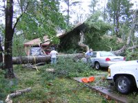 Neighbor South of Me 3 houses down