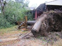 Neighbor South of Me 3 houses down